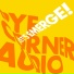 Pye Corner Audio feat. Andy Bell
