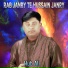 Hub Ali