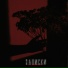 PANELKИ