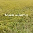Angelic Acoustics