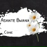 Conie