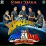 Grupo Xpazio, Grupo Maravilla de Robin Revilla