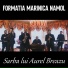 Formația Marinică Nămol