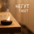 Негут