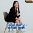 Denis Farasya