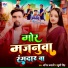 Anil Bavali, Khushi Singh