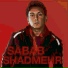 Shadmehr Aghili (www.Best-ir4.com)