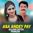 Allah Ditta Panchi