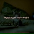 Музыка для кошек Радио