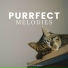 Music for Cats Peace