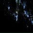 Violight