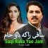 Aslam Salik