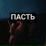 otto2113