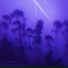 TREEBLAZEE
