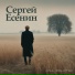 Paul Polotsk