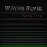 Wayne Silver