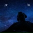 Ручная обезьянка