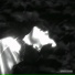 notfound
