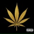 JEFF KUSH