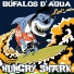 Búfalos D'água