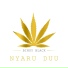 Bingi Black