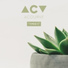 어쿠루브 (Acourve)