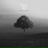 Project AER feat. v i v