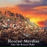 Hesenê Merdîni