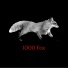 1000 Fox