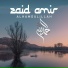 Zaid Amir