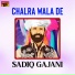 Sadiq Gajani