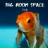 Big Room Space