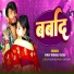 Vinay Nirmal yadav