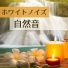白色雑音 Specialist