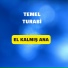 Temel Turabi
