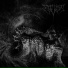 Infestus