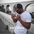Wilson Ambassadeur