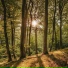 Relaxing Music for Meditation