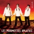 Les Marmottes Aplaties