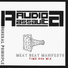 Audio Assault, Meat Beat Manifesto, scott crow