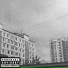 ЮГО-ВОСТОЧНЫЙ МОТИВ