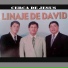 Linaje De David