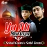 Sohail Qasmi, Sahil Qasmi