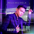 Andry Darwisy
