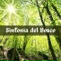 Bosco Bianco