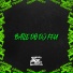 Mc Delux, DJ FEU