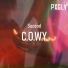 PxGLV