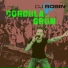 DJ Robin