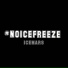 ICEMARS