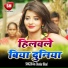 Dev Shankar Bihari